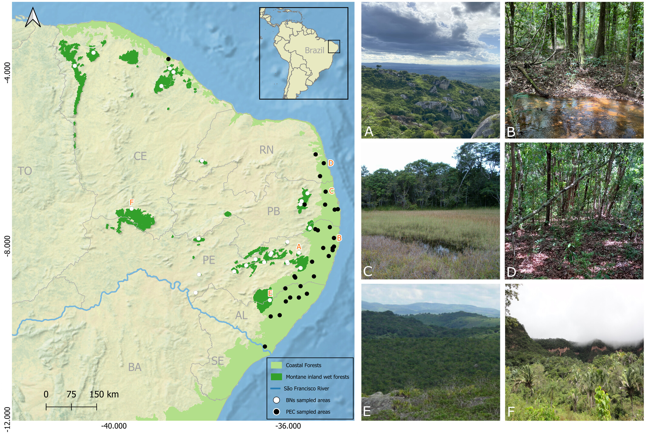 Image from article 1